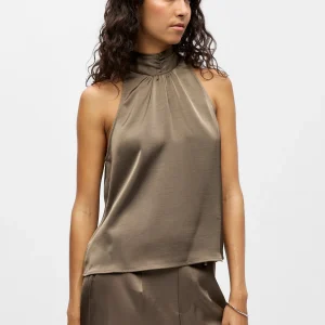 Tapa de chile - Morel