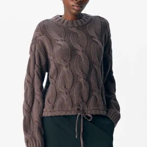 Jirón de punto de la bahía - sello marrón