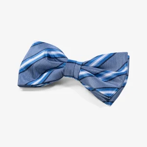 Pajarita - Azul Oscuro Rayas