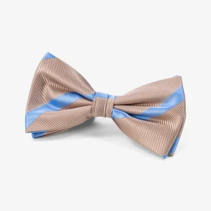 Pajarita - Oro/Azul claro